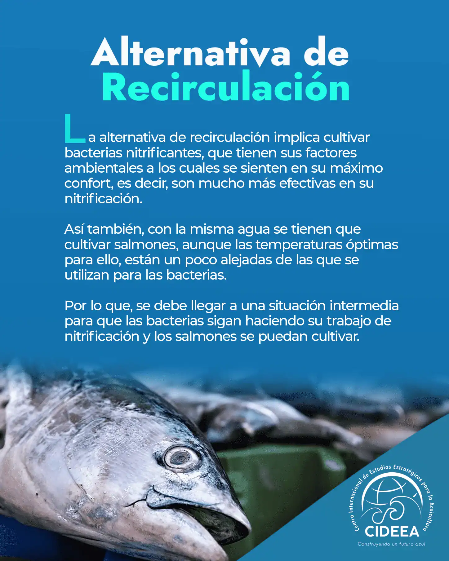 ALTERNATIVA DE RECIRCULACIÓN