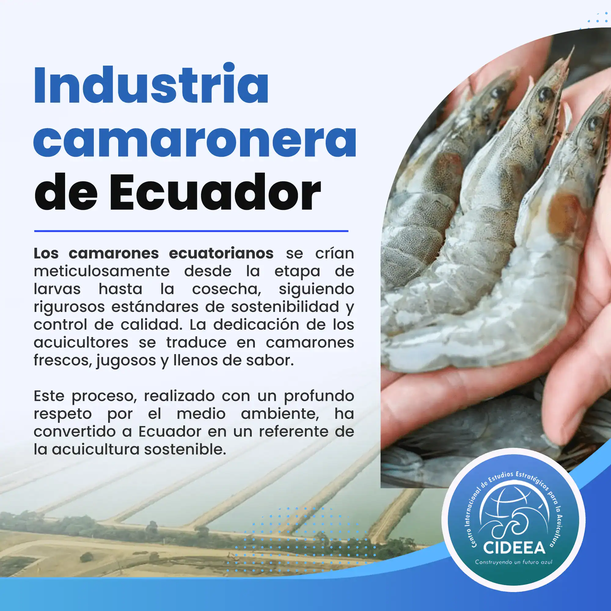INDUSTRIA CAMARONERA DE ECUADOR